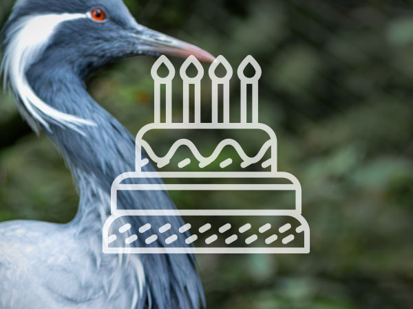 Aufruf der Seite Kindergeburtstag