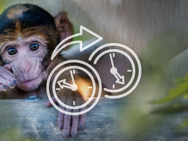 Aufruf der Seite Öffnungszeiten