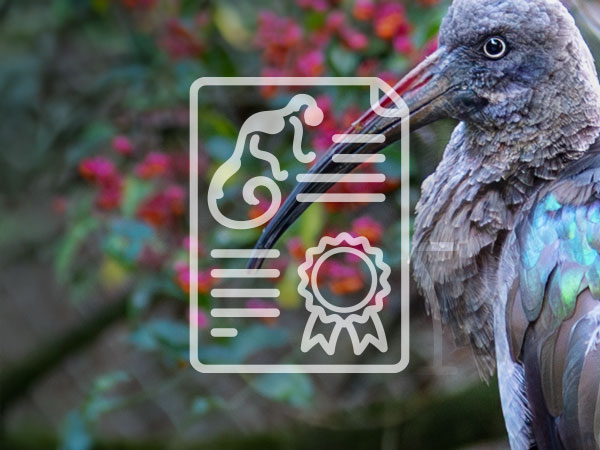 Aufruf der Seite Tierpatenschaften