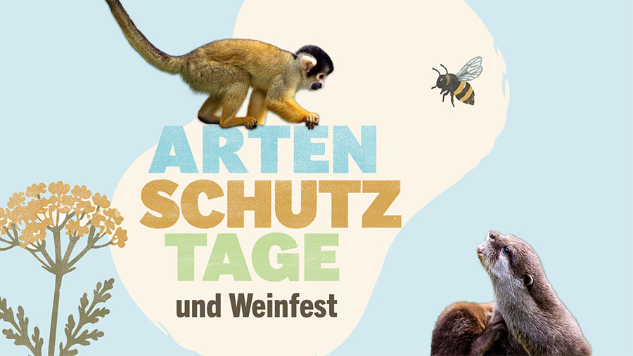 Artenschutztage & Weinfest im Park